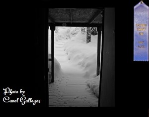 footprints-1st place-small