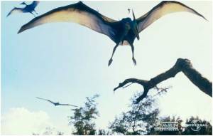 Pteranodon_flying